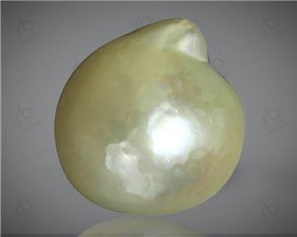 Pearl / Moti (South Sea) Certified 7.22 carats -90313